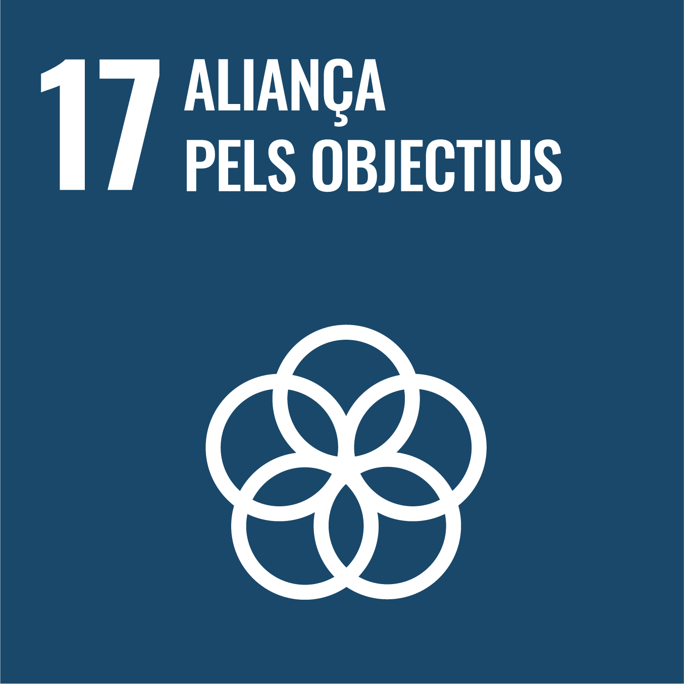 ODS 17. Aliança pels objectius