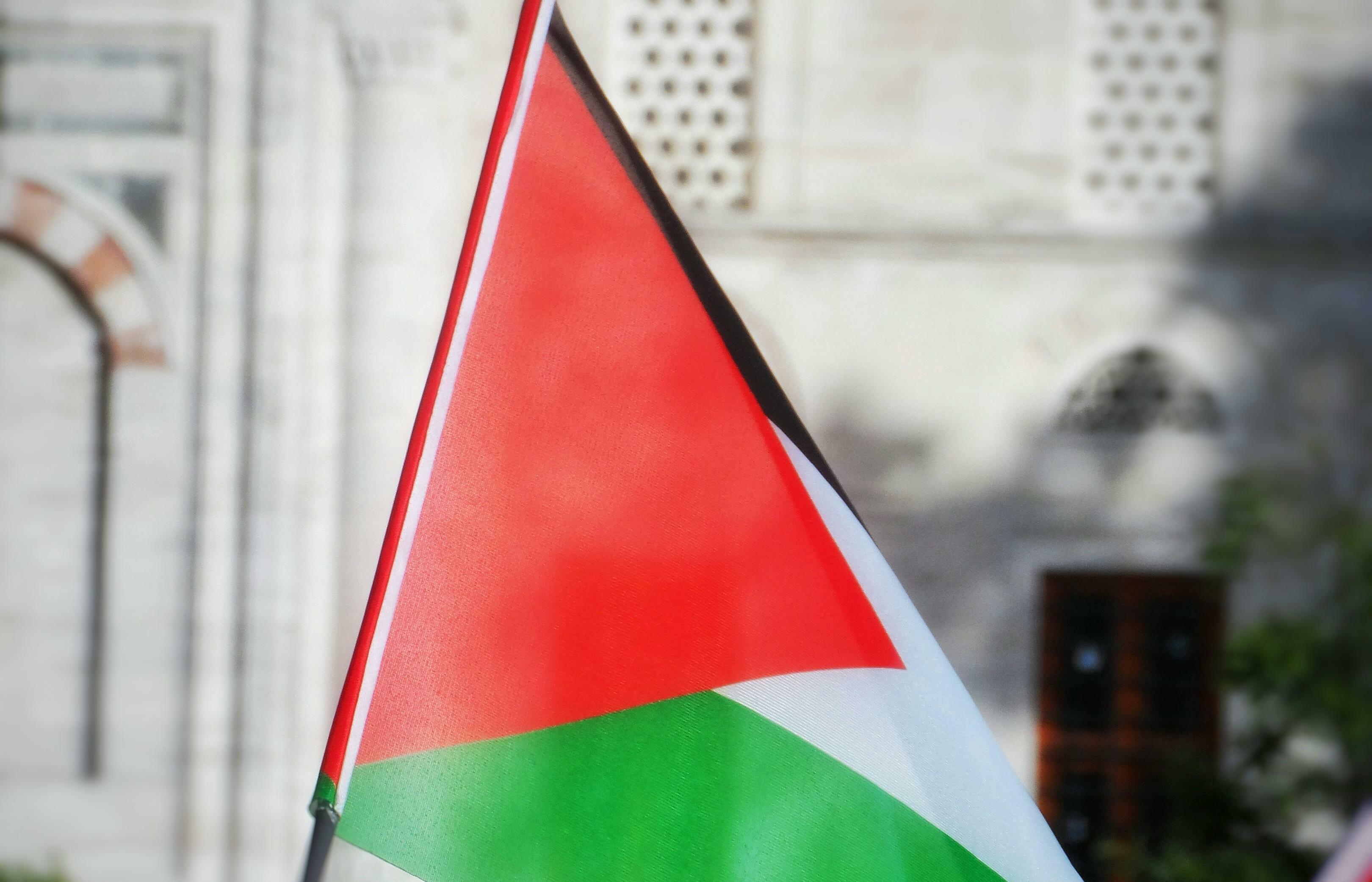 Imatge d'una bandera de Palestina.