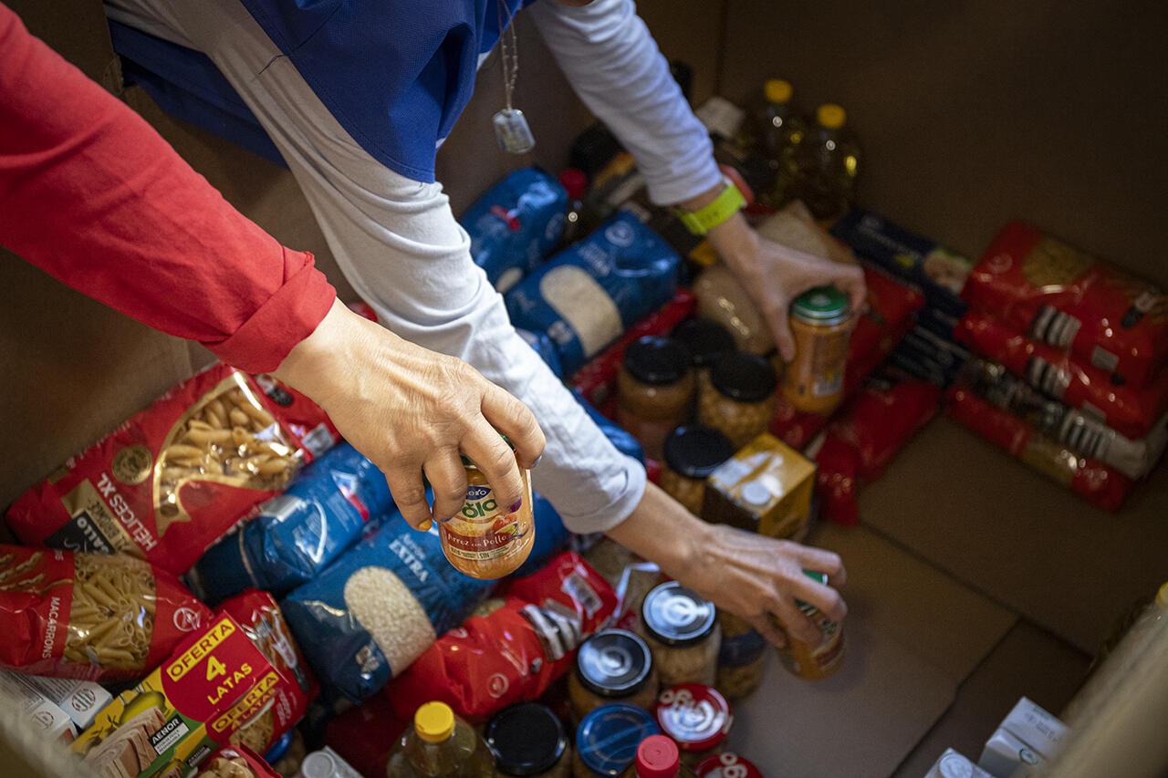 Imatges de recollida d'aliments durant el Gran Recapte 2025