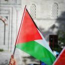 Imatge d'una bandera de Palestina.