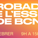 Cartell de la trobada de La Febrerada 2026.