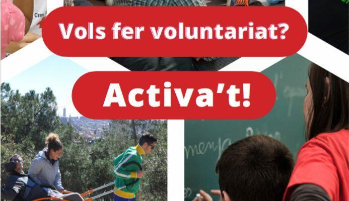 Imatge sessió formativa de voluntariat de la FCVS