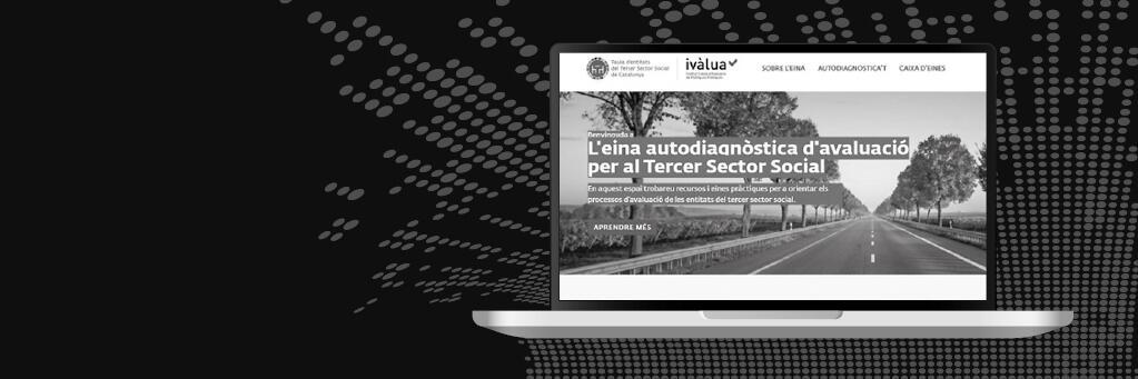 Imatge del web eina autodiagnòstica d'avaluació