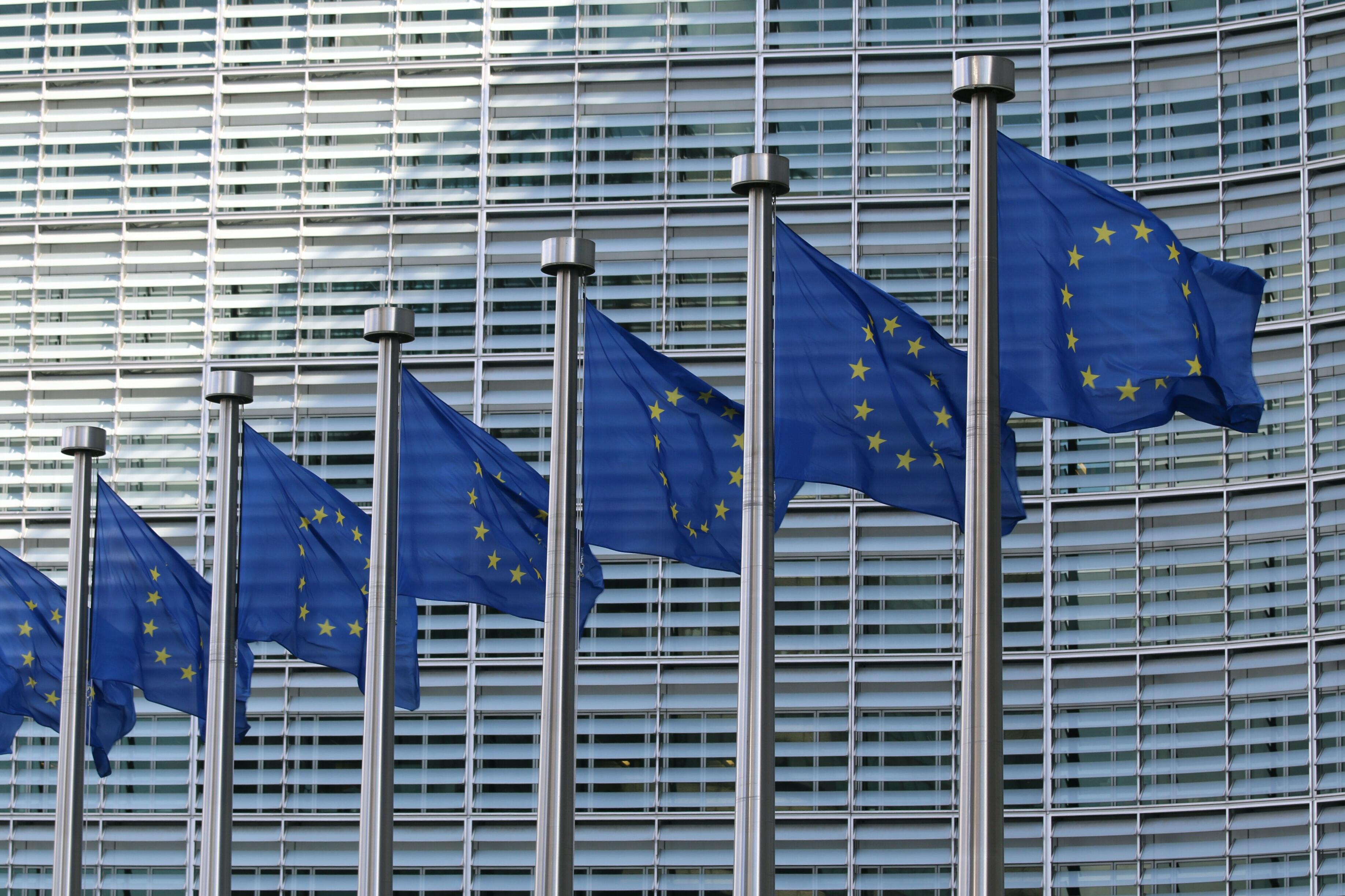 Imatge conjunt de banderes de la Unió Europea