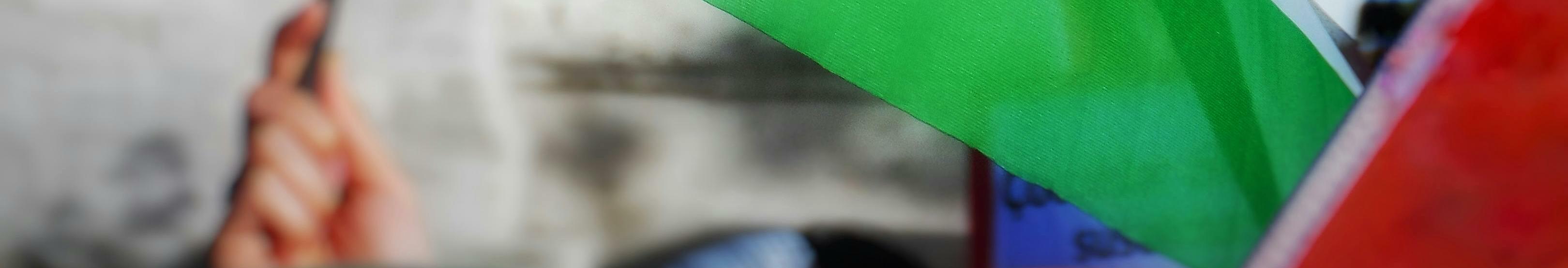 Imatge d'una bandera de Palestina.