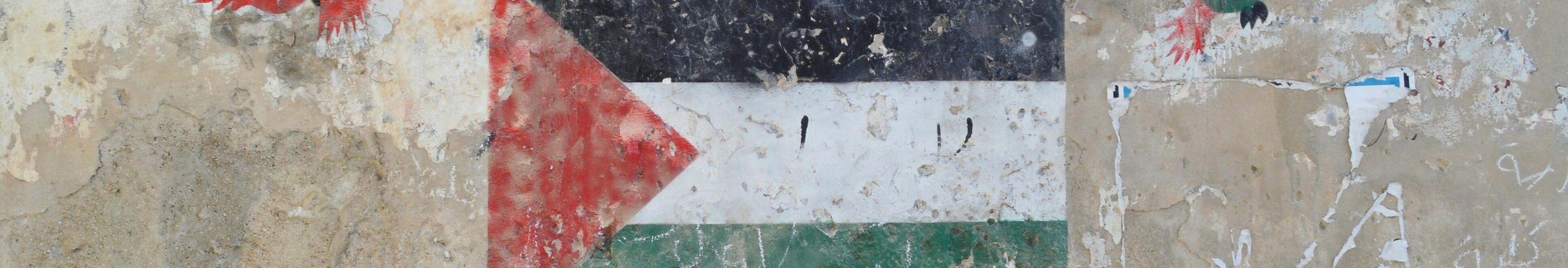 Imatge bandera palestina