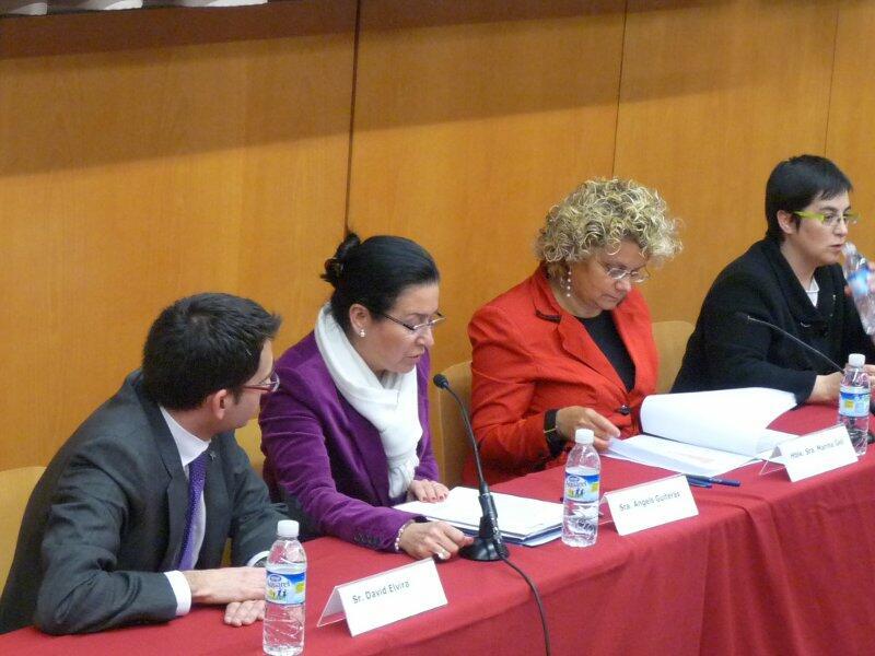 Seminari entre la Taula del Tercer Sector i el Departament de Salut (2010)