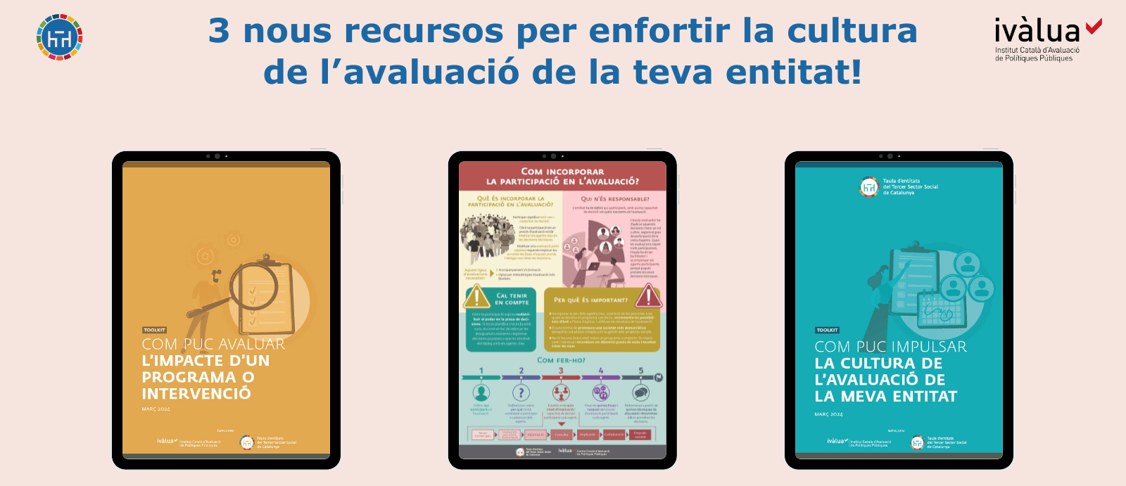 Nous recursos per enfortir la cultura de l’avaluació de les entitats socials