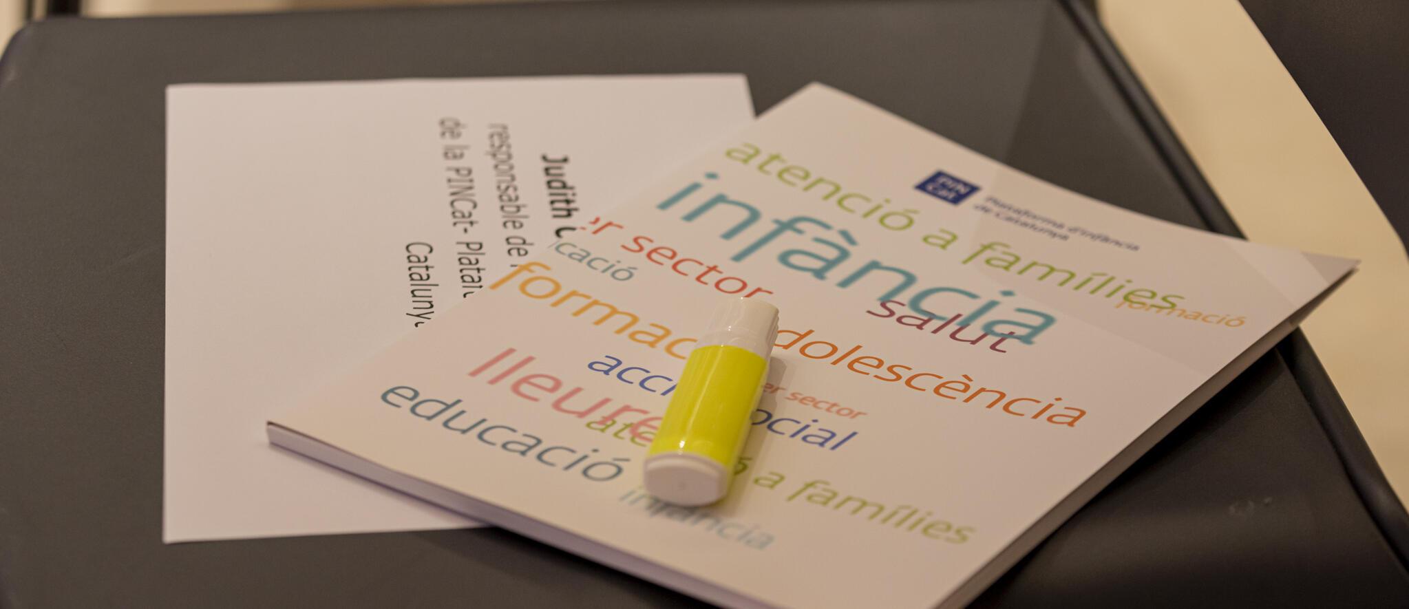 Imatge de la Plataforma d'Infància de Catalunya (PINCat)