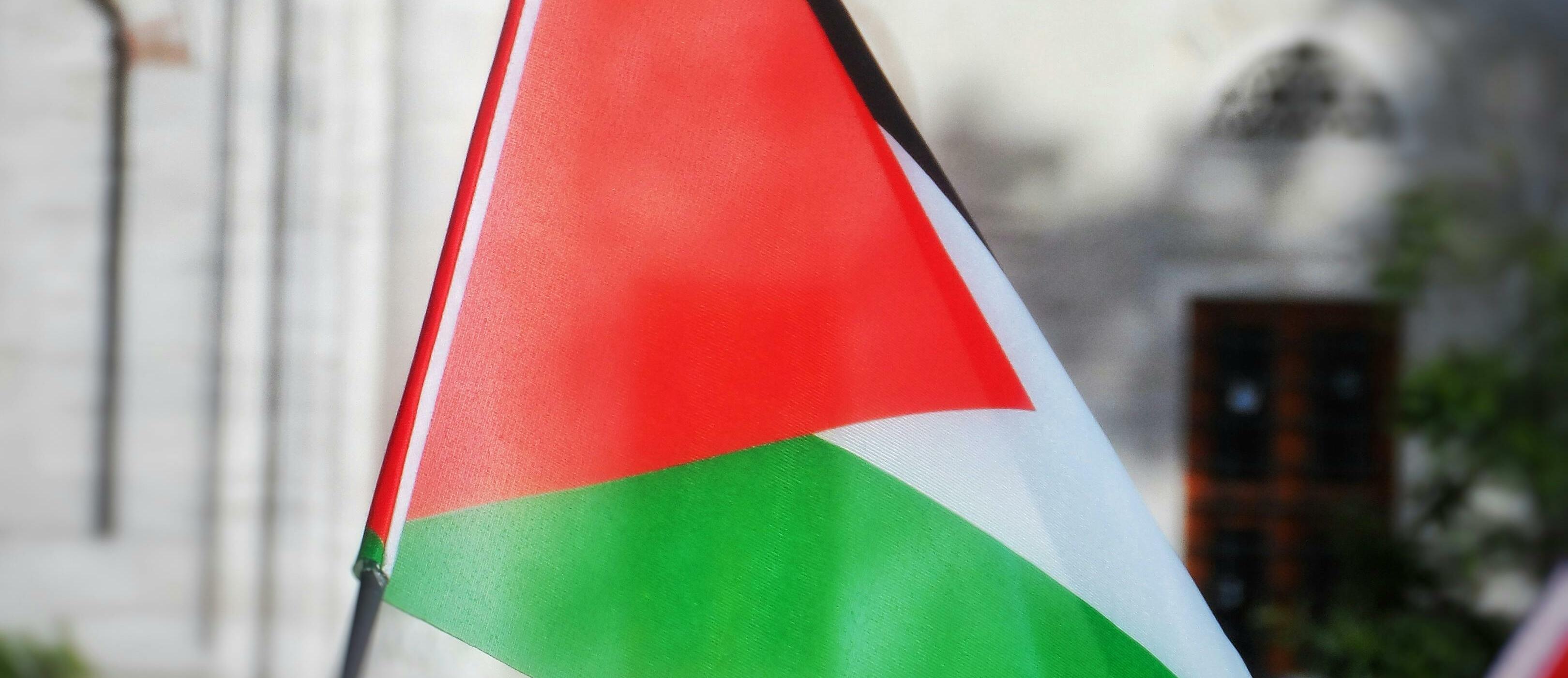 Imatge d'una bandera de Palestina.