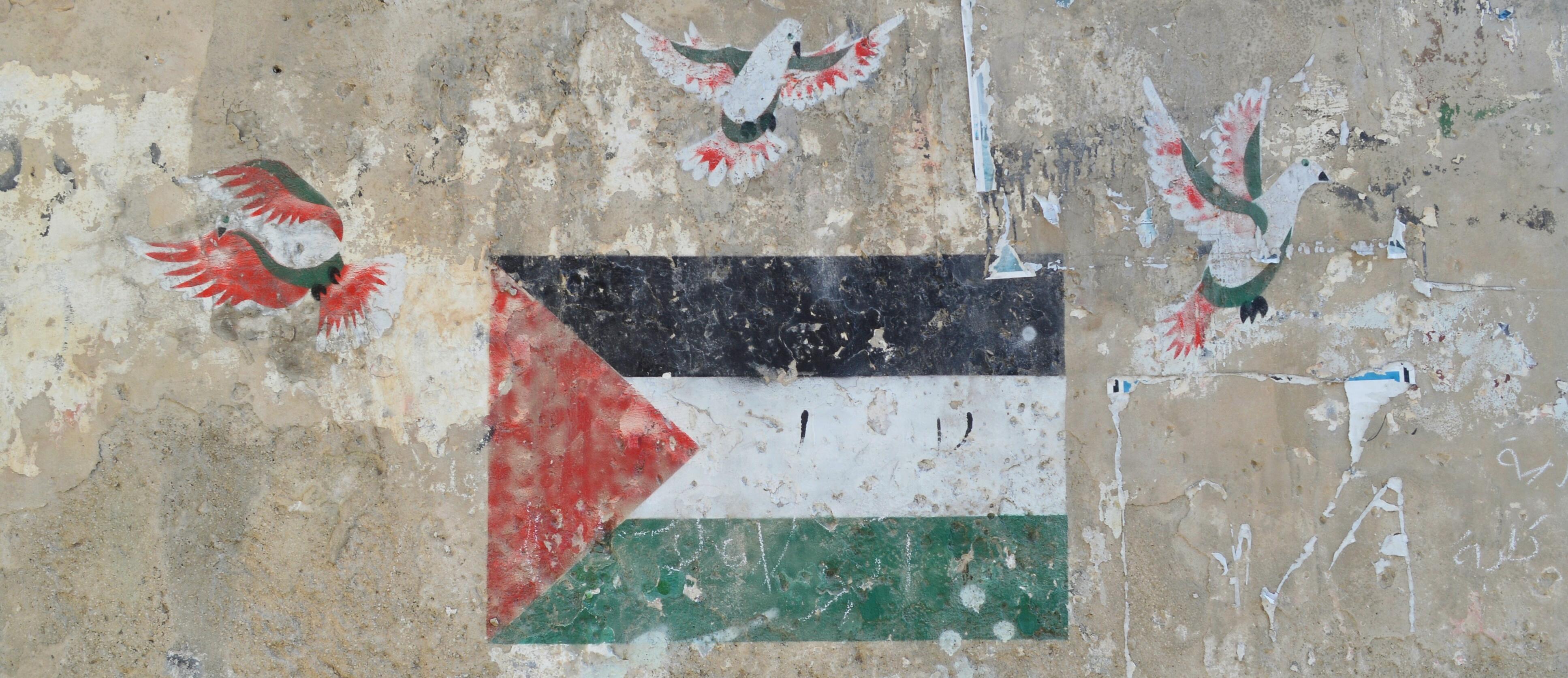 Imatge bandera palestina