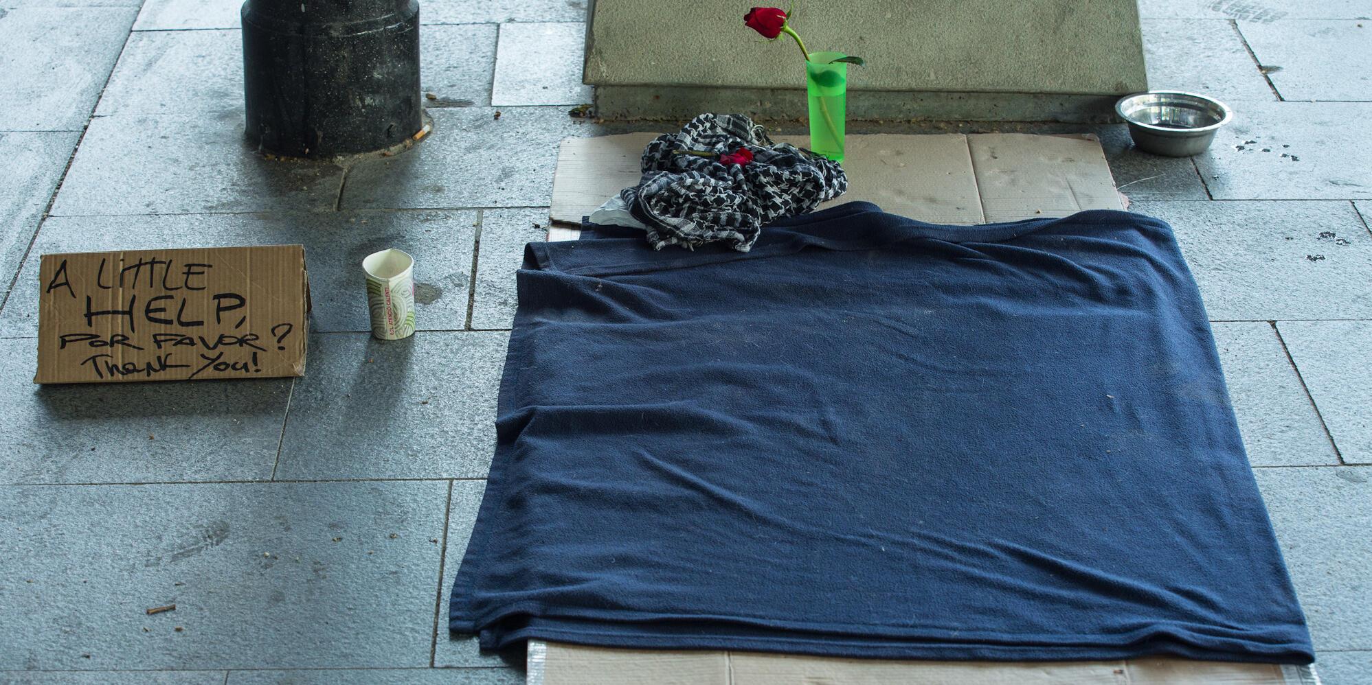 Imatge d'uns cartrons que serveixen d'aixopluc-llit per a una persona sense llar
