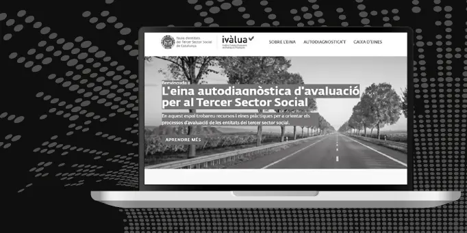 Imatge del web eina autodiagnòstica d'avaluació