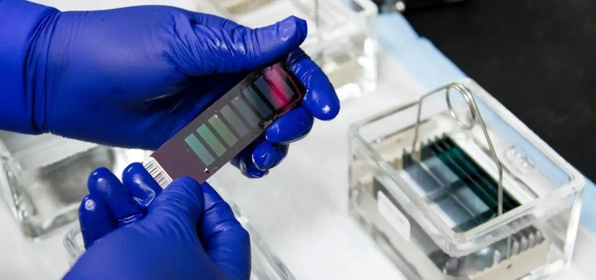 Imatge laboratori centre d'investigació del càncer